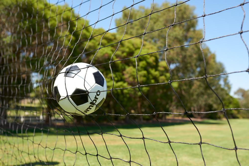 Ball Stop Barrier Nets with 2 Support Posts - 100mm sq (Multiple Sizes) - Image 25