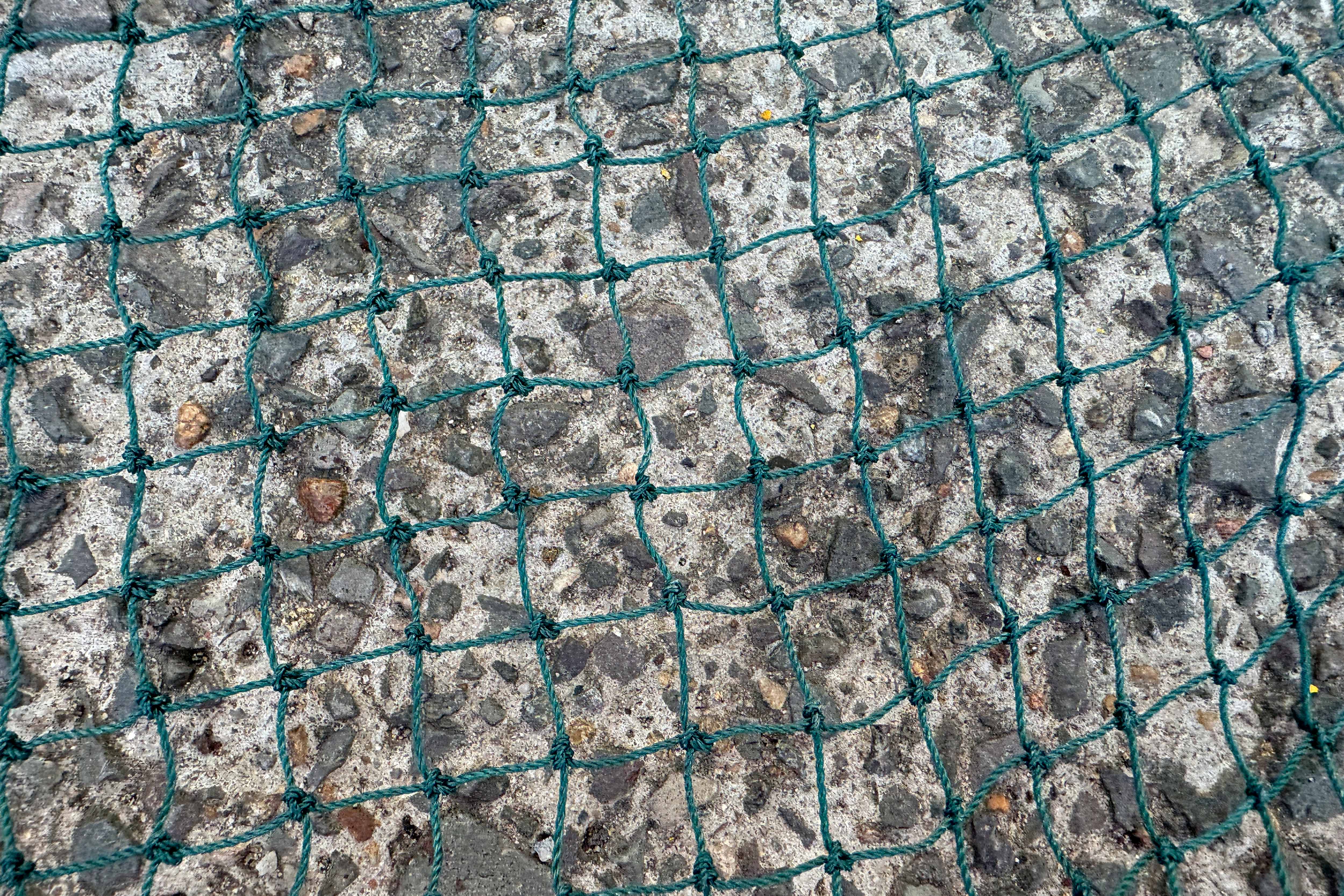 Deluxe Prawn Drag Net: FREE SHIPPING - Image 7