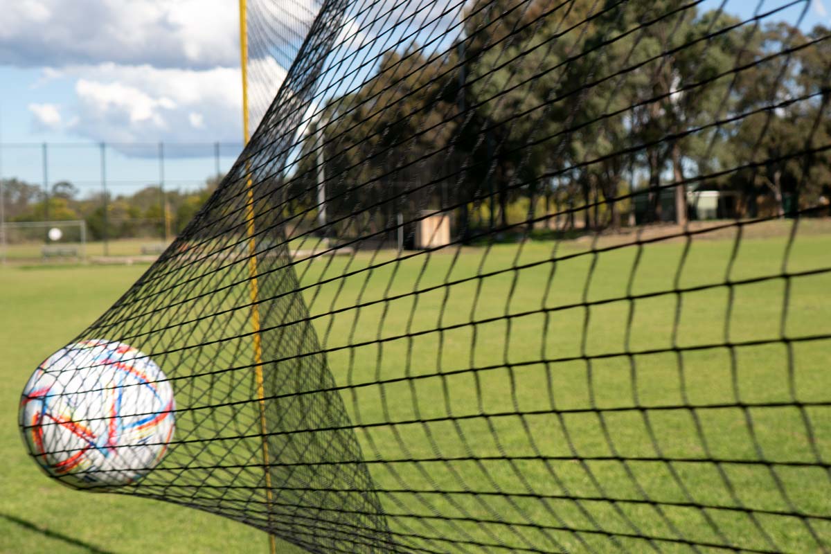 Large Backstop Barrier Net - Image 5