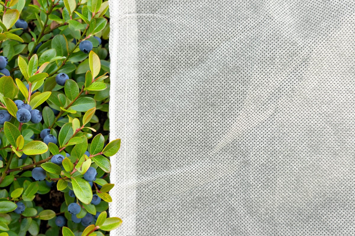 Plant Frost Protection Cover - 5 Pack - Image 3