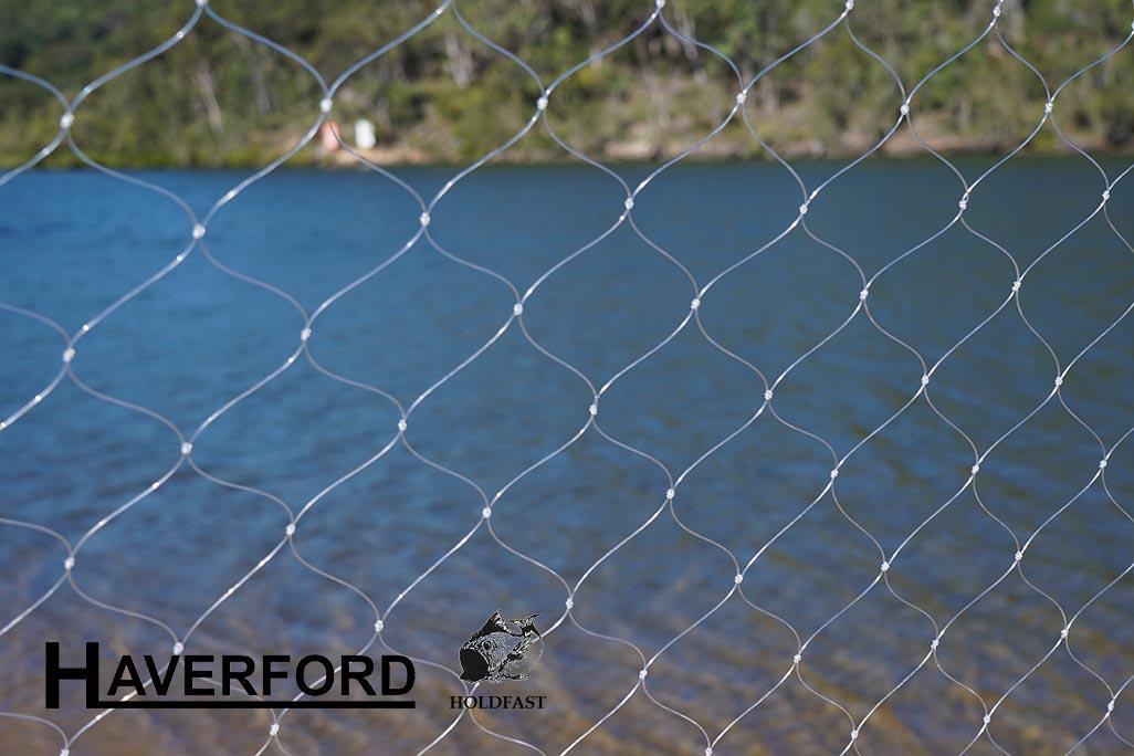 Garfish Net: 1-3/8" Mesh 50m x 1.6m - Image 3