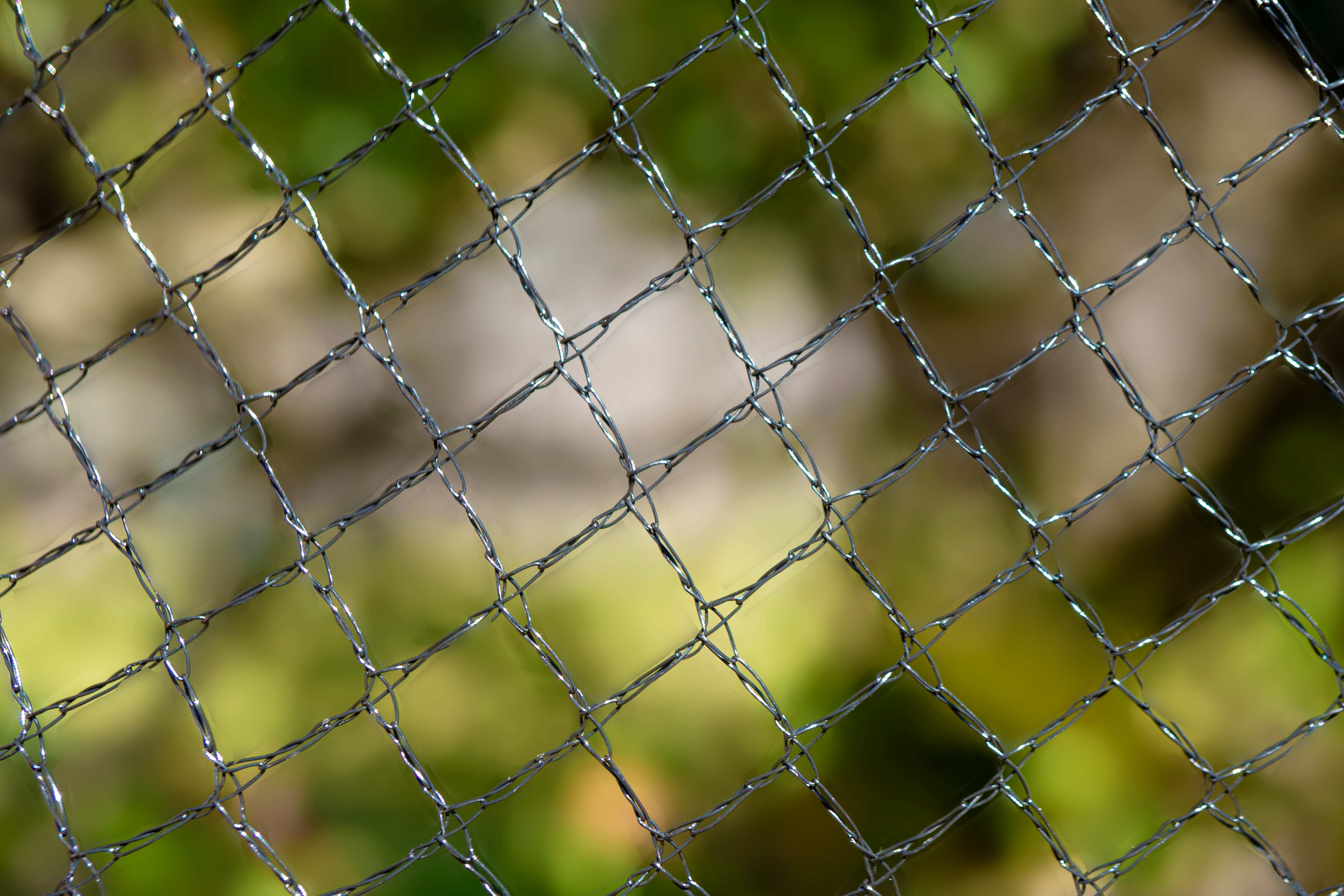 Wildlife Safe 5mm Diamond Bird Netting - Image 6